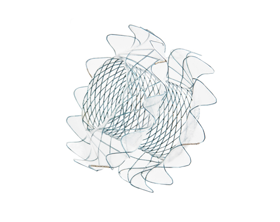 ADD_GOODS1_156022868220190612123530